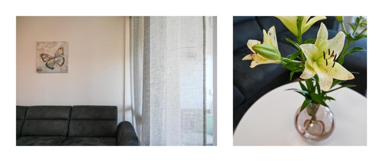 Apartman Armando Zadar Zewnętrze zdjęcie